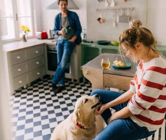 A couple with their healthy and happy dog in the kitchen.